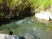 Source(Granite Creek)